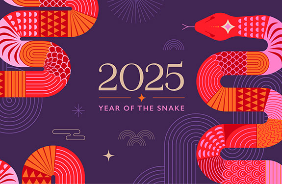 The Year of Snake